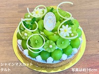 【8月15日受取分よりご予約可能】🟢🍇シャインマスカットタルト【直径約18cm】約6~8名様前後用【税別7,158円