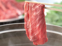 【¥4,000】柳しゃぶ天国(中高生)