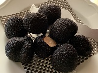 Dinner　おまかせⒸ　秋トリュフ