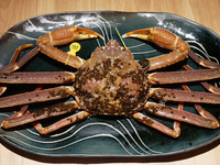 From November: Echizen Crab “Large” Full Course (price may vary depending on procurement costs)