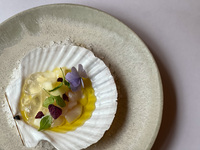 【6-Course Dinner】