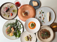 【10-Course Dinner】
