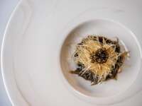 ふかひれコース（3〜6名様用）