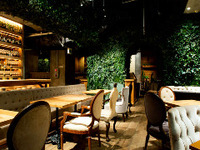 Seat-only reservations (for guests who would like individual cakes). For parties of 20 or more, please contact us by phone.