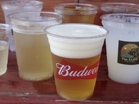 【アルコール飲み放題 生ビール付きコース  2時間制】 