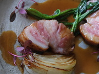 【メイン肉料理付き】prefix course 