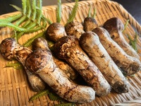 Matsutake course 15,400 yen - 27,500 yen