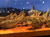 Conger eel and sweetfish dishes: 11,000 yen to 15,400 yen