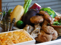 Lunch / Counter Seating