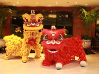 【開運‼】中国獅子舞バイキングショー2026