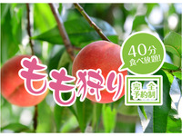 ★桃狩り（40分食べ放題プラン）【土日祝】