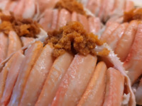 季節限定!! 香箱蟹付き おまかせコース   土曜・祝日(カウンター)
