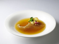 【New year 2025】GLORIUOS SWALLOW