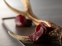 スタンダードコース