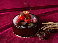 【Xmasケーキ】ショコラピスタチオムース4号