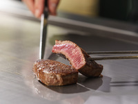 季節のサラダ前菜と選べるメインのステーキランチ【クリスマス期間限定】