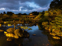 [12/24-25 | Dinner with live music] Enjoy French cuisine with the night view of the Shinen garden | 5-course meal including main course of roast venison