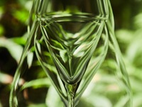 ペアリングワイン6種