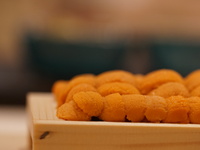 Chef's Omakase Half Course — For ages 7–11