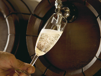 2025/10.11.12【WEB限定】女子会プラン：ディナー