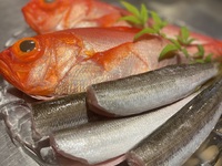 昼のおまかせコース　