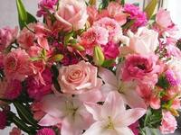 【Xmas2025】Coucheのクリスマス特別ランチコース 全9皿