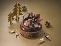 チュアオショコラ【完売】