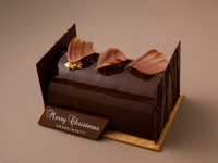 Bûche Chocolat Apricot