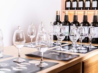 〇Kinobi品鉴会（日语）14:00-15:00