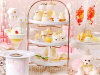 平日【スペシャルドリンク付＆2.5時間カフェフリー】ホワイトベアのクリスマスアフタヌーンティー（マリアージュフレールティー1杯）