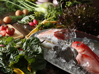 【イル・ジャルディーノ】年末年始特別ディナー（メインディッシュチョイス）12/29～1/5