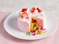 【ご家族のお祝いに】乾杯酒＆切ったらびっくりギミックケーキ付 メインが国産牛フィレ肉ローストの 全5品の贅沢ディナー