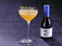 Dassai x FONTANA DI TREVI ~ 春天发夹 ~