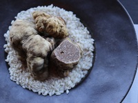 Seat Only Reservation White Truffle Dinner
