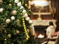 【Dîner de Noël】Noel (Caviar Osetra) 12/20~12/25