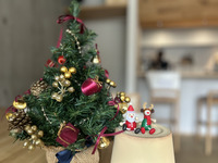 Christmas Special Lunch Course