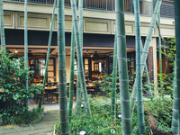 【年末年始限定】竹林を望めるお席確約 Seasonal course(日時限定)