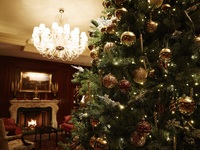 【フェスティブ】 ブランチブッフェ