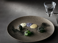 【web予約曜日限定】季節のおすすめコースとペアリング、火・水・木曜日限定