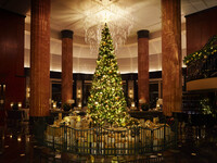 Dec 15–Dec 25: Christmas Dinner Buffet with Sparkling Wine