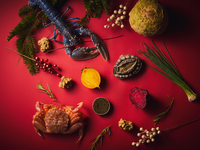 【Xmas限定コース】Cloche