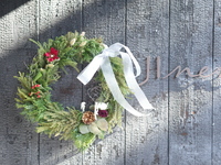 クリスマス限定コース🎅