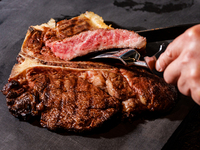 «T Genesis» da dicembre