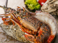 【年末年始】Dinner 伊勢海老コース全10品¥11,000(税込¥12,100)