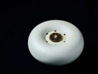 【12/23-12/25 ディナー】 クリスマスディナー6品コース+グラスシャンパーニュKRUG１杯