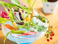 ◆Dinner◆ Giardino ~ Garden ~ Bagna cauda with seasonal vegetables, main course of your choice in prefix style ~ 7 dishes in total