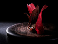 【12/19-12/22 ディナー】 クリスマスディナー5品コース+グラスシャンパーニュKRUG１杯