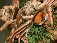 【12月限定】セコガニのパエリア＋ペアリング4種