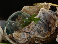 牡蠣と北海道産牛フィレのランチコース