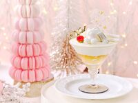 【オプション】スペシャリテデザート（ホワイトベアのヨーグルトパフェ）